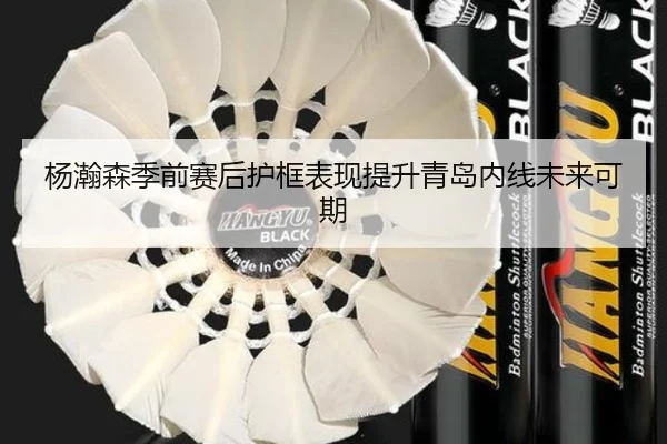 杨瀚森季前赛后护框表现提升青岛内线未来可期 | hth.com